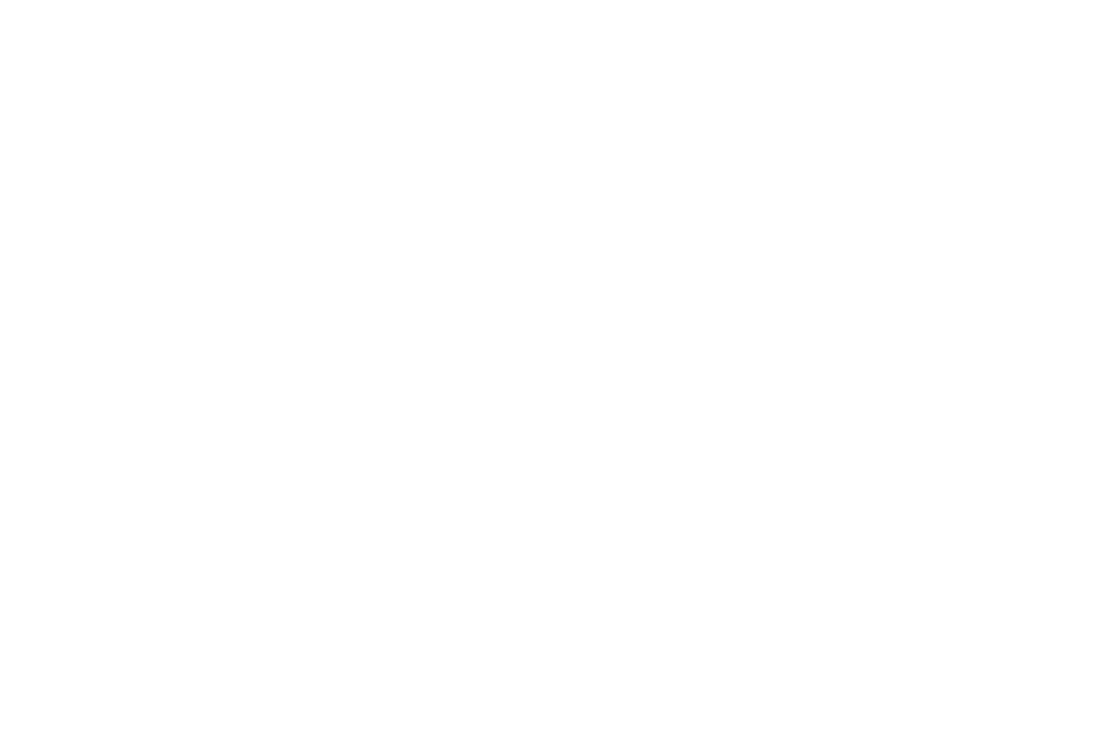 Birgit Nilsson Festival Logotype 2026